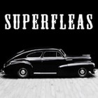 superfleas