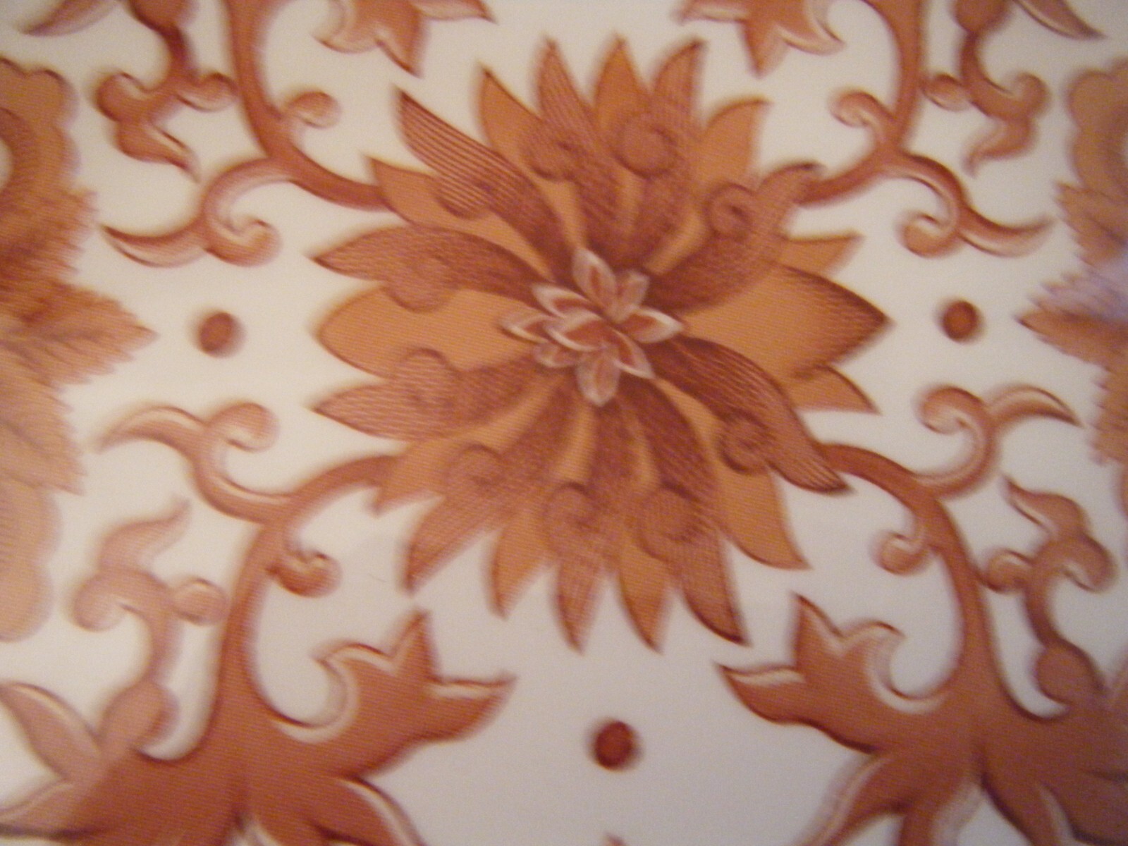 Picture 6 of 6