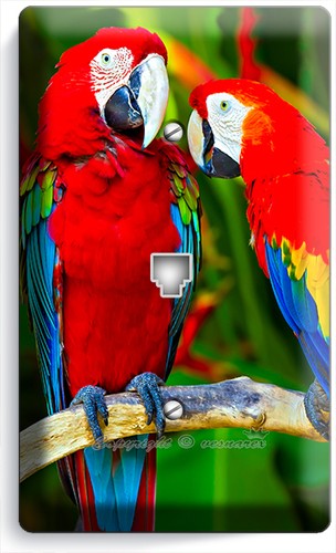 COLORIDO GUACAMAYO TROPICAL AMOR LOROS INTERRUPTOR DE LUZ PLACA DE PARED TOMA DE CORRIENTE DECORACIÓN DEL HOGAR - Imagen 7 de 29
