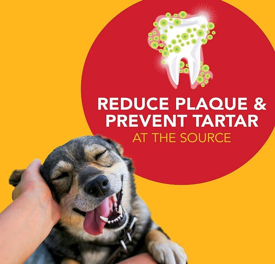 SENTRY Petrodex Enzymatic Toothpaste for Dogs 2.5 oz eBay