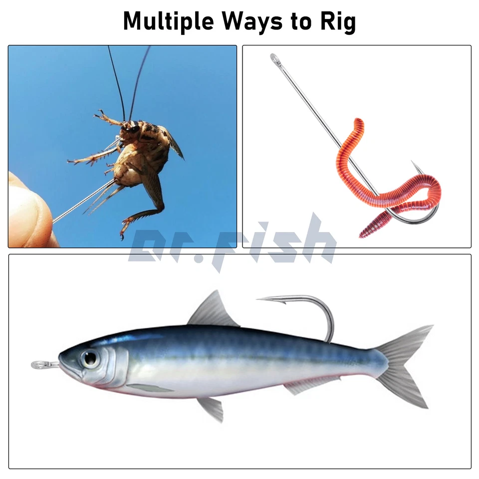 Dr.Fish 100pcs Aberdeen Fishing Hooks Long Shank Offset Circle Bass Pike Tackle - Image 3 of 4