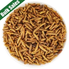 Lot BSF Bulk Dried Black Soldier Fly Larvae for Birds Ducks Chickens Hen Treats 