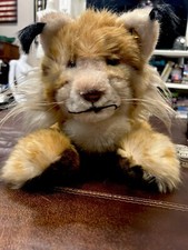 Vintage Rare 1963 Steiff Lynx 0345/50 Germany 28 Big Kitty With Ear Tag