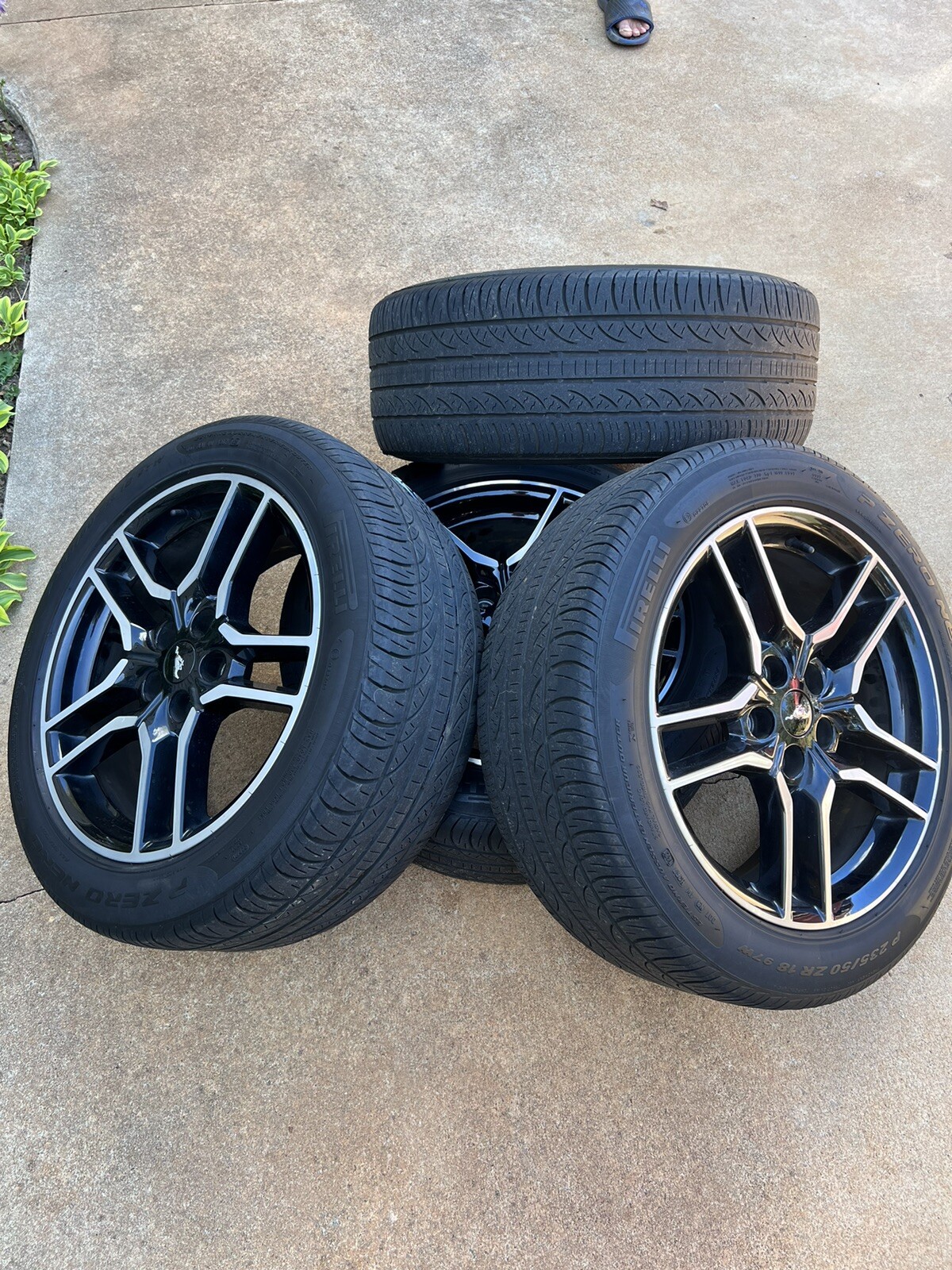 20182023 Stock Mustang Wheels eBay