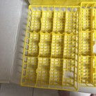 Foto 13 di 13