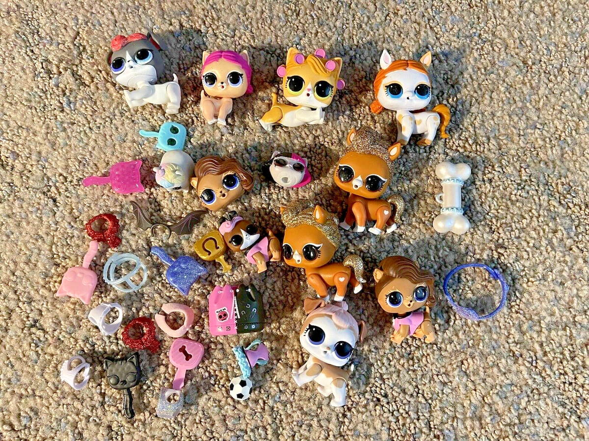 LOL Surprise OMG Doll Lot of Pets and Accessories