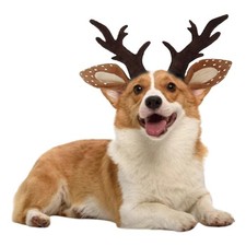Anelekor Dog Deer Costume Funny Antlers Headband Christmas Medium, Brown