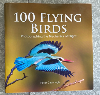 100 Flying Birds Photographing the Mechanics of Flight by Peter Cavanagh Firefly