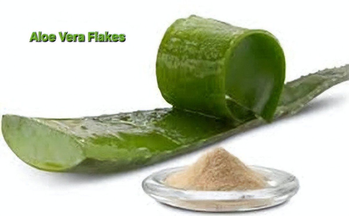 aloe plant online Aloe Vera main image 0