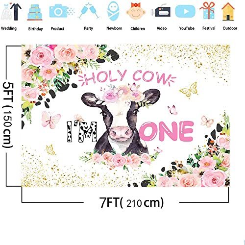 Holy Cow I'm One Vinyl Backdrop 7x5ft Pink Floral 1st Birthday Baby ...