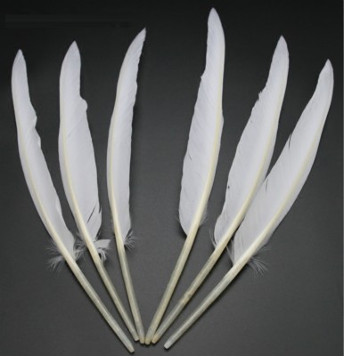 50X Natural White Goose Primary Wing Feather Arrow Making Party Costume Decor