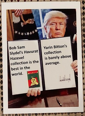 VIETMANESE GARBAGE PAIL KIDS foreign Donald Trump EXECUTIVE ORDER card FAN GPK 