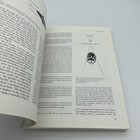 Picture 11 of 16