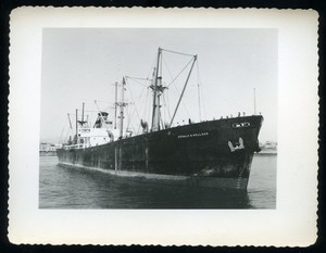 DONALD H HOLLAND - Liberty Cargo Ship - West India Steamship - Vtg Ship Photo