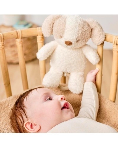 Carillon Neonato per Lettino Culla Peluches Bambini 0+ Mesi - Cane Teddy Nattou foto 4