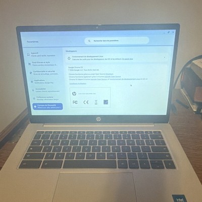 HP Chromebook Notebook Laptop Silver Chrome OS Sleek Design Portable Computer