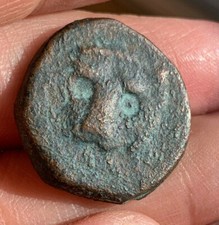 s1170_553) Messina Guglielmo II 1166-1187 Trifollaro Testa di leone Palma SP 117