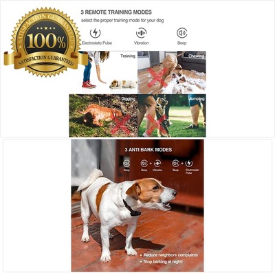 shock collar for 10lb dog