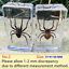 thumbnail 14  - Insect In Resin Specimen Paperweight Tarantula Collection Science Education