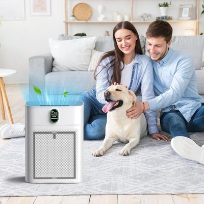 4 Pack HY4866 Air Purifier Filters - True HEPA Multi-Stage Filtration