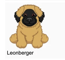 Webkinz Leonberger Virtual Pet Code Messaged Digital Item