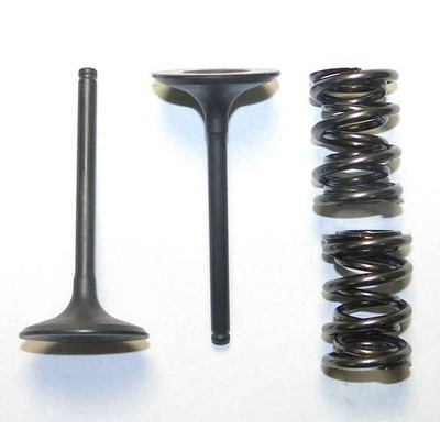 OEM Grade Intake Valve 2009-2018 Kawasaki KX450F Steel Kit 449cc Dirt Bike MX