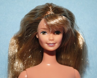 barbie doll with brown hair and brown eyes