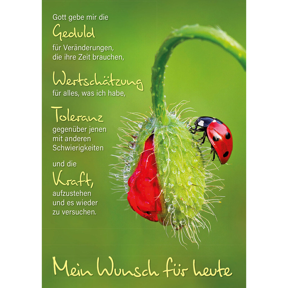 Thumbnail - Ich Für Dich Da | Taschenbuch | 16 S. | Deutsch | 2021 | Kawohl