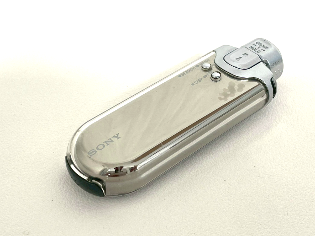 Sony Walkman NW-E507 Silver ( 1 GB ) Digital Media Player for sale