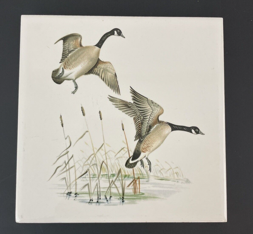 Piastrella ceramica wenczel arte da parete 6" quadrata oche canadesi dipinta a mano decorativa - Foto 1 di 5