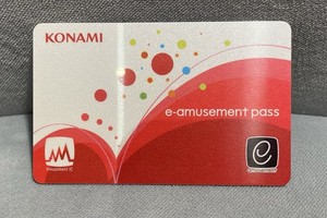 E Amusement Pass | eBay