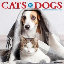 Cats & Dogs 2026 12 X 12 Wall Calendar (Bookbook - Detail Unspecified)