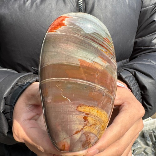 1.7LB Natural Polished Crystal Ocean Jasper Palm Stone Polychrome Jasper Healing - Picture 8 of 9