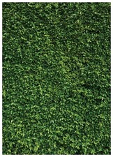 Grass Wall Backdrop Green Leaf Banner 5x7FT 10923