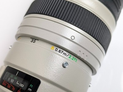 Canon EF 35-350mm F/3.5-5.6L USM Zoom Lens [Excellent w/Hood