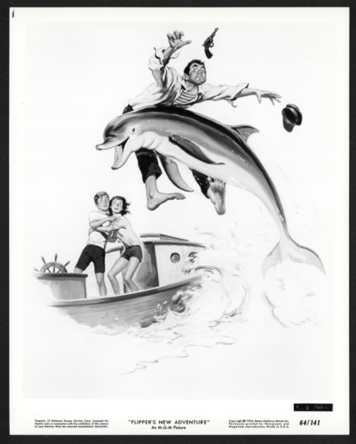 FLIPPER'S NEW ADVENTURE Original Movie Press Photo Poster Art Reynold Brown - Picture 1 of 1