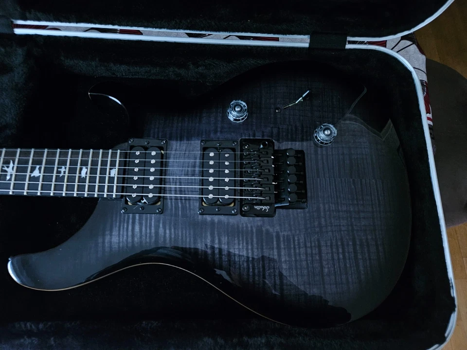 PRS SE Custom 24, photo 2 sur 5