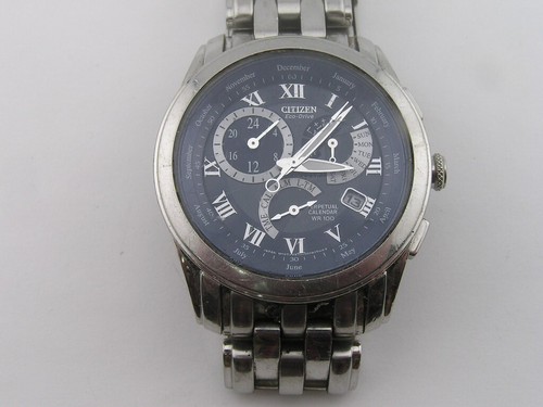 Citizen Eco-Drive Perpetual Calendar Mens Watch w/ Band E870-S015278
