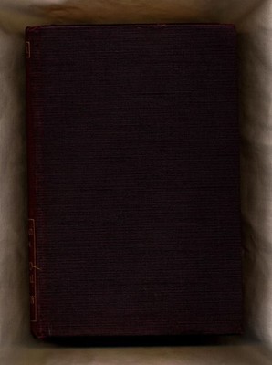 The Argentine in the Twentieth Century Martinez, Albert B. und Maurice Lewandows