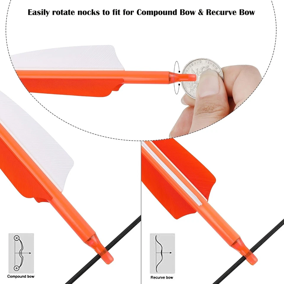 Archery 30" Carbon Arrows SP500 600 Feathers Hunting Target Compound Recurve Bow - Image 3 of 4