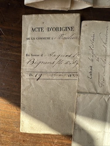 Document 19eme Frédéric Kursner Héraut De Genève Généalogie Passeport Suisse - Foto 11 di 23