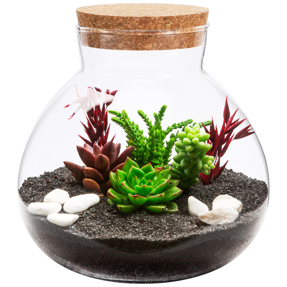 Mini Glass Terrarium Bottle for Micro Landscapes & Eco Plants