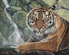 Giclee fine art print of oil painting tiger and waterfall, wildlife 8"×10" 