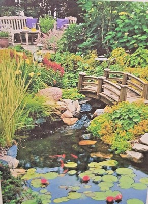 Kittys Note Cards Set Of 10 Envelopes Koi Pond Ebay - 