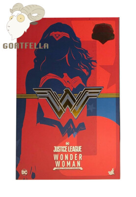 READY NEW AUTHENTIC HOT TOYS JUSTICE LEAGUE WONDER WOMAN COMIC CONCEPT MMS506
