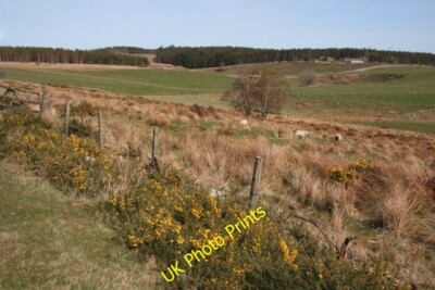 Photo 6x4 Bogs and Fields Carnach/NJ0048 The contrast between the bog in c2015