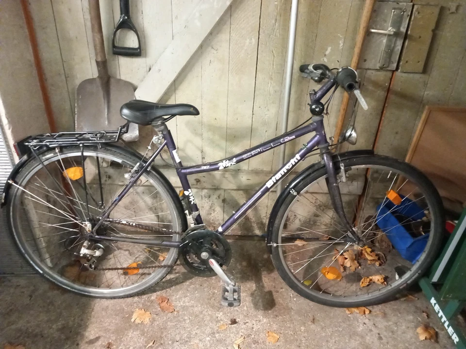 Damen Fahrrad Bianchi Spillo Classic 21 Gang Lila 28"