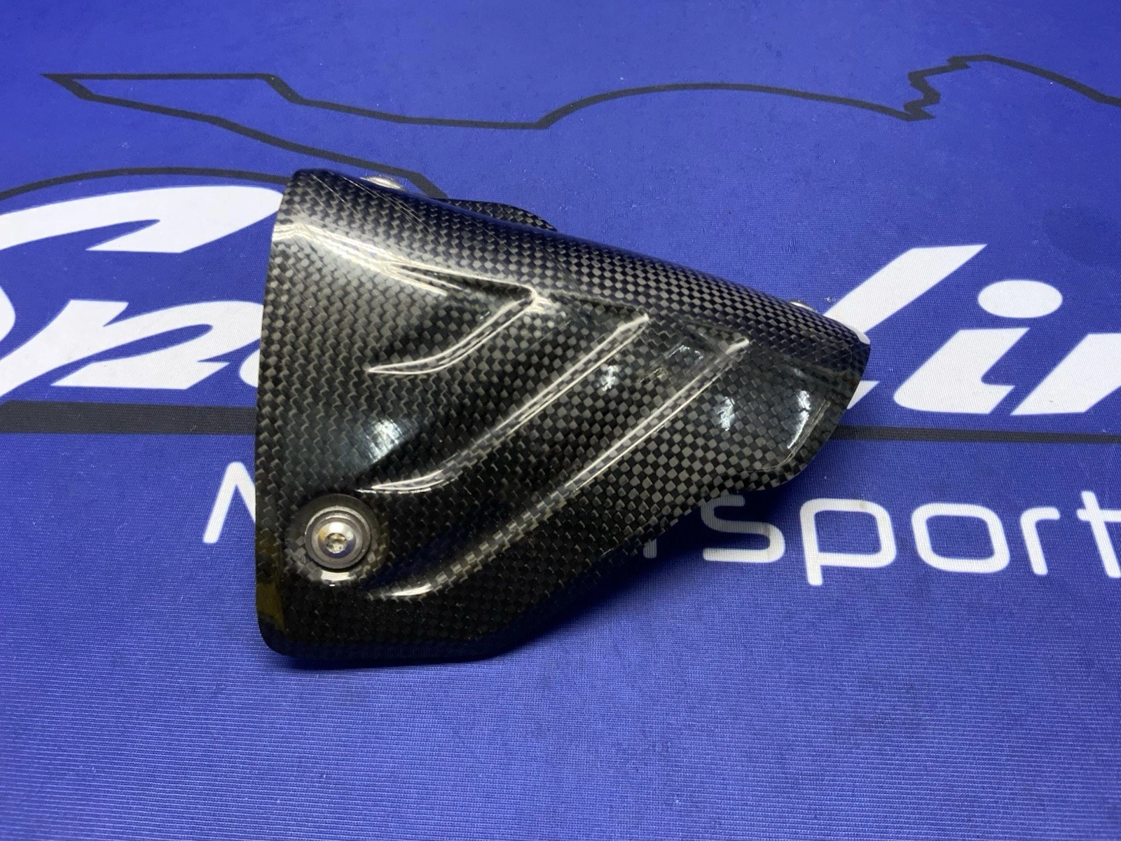 Akrapovic Carbon Fiber Heat Shield BMW S10000RR/M1000RR 2019-2022 P-HSB10E3