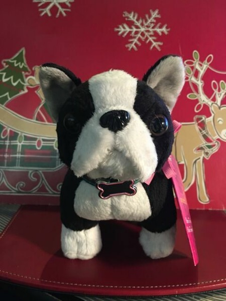 our generation schnauzer