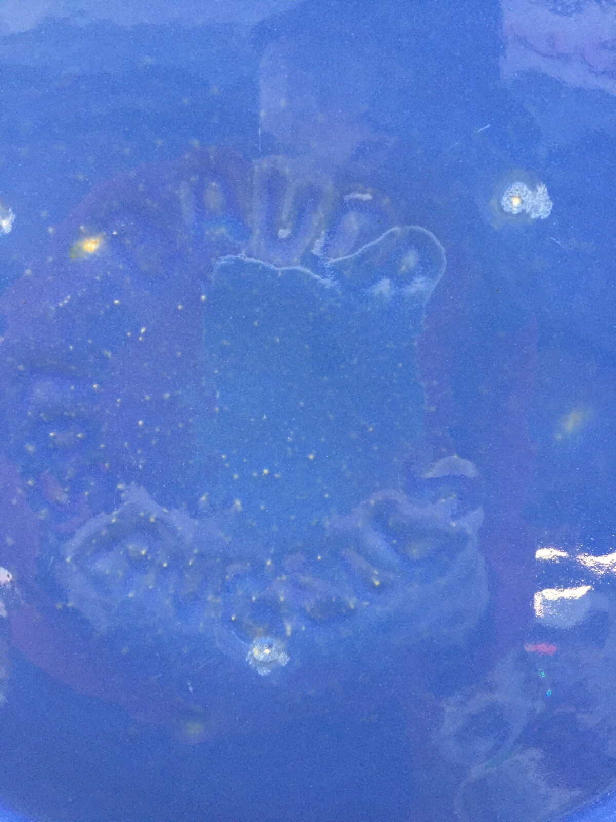 Picture 2 of 9